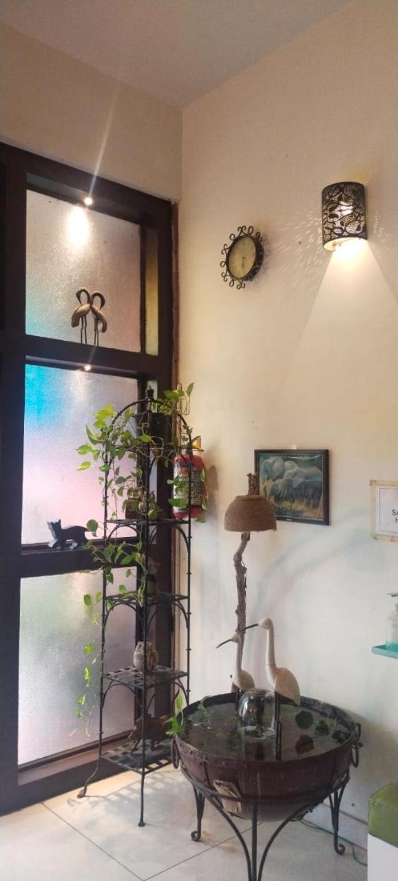 Rangbaari Stays & Cafe Džódhpur Exteriér fotografie