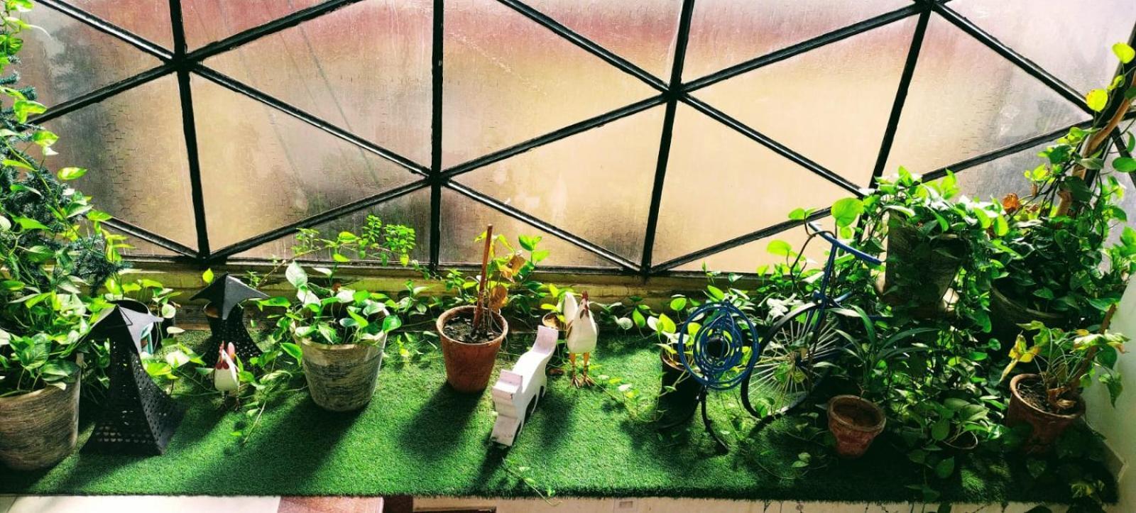 Rangbaari Stays & Cafe Džódhpur Exteriér fotografie